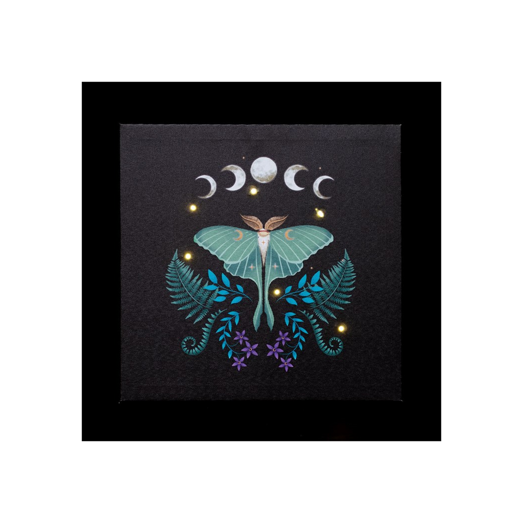 Luna Moth Light Up Canvas Plaque