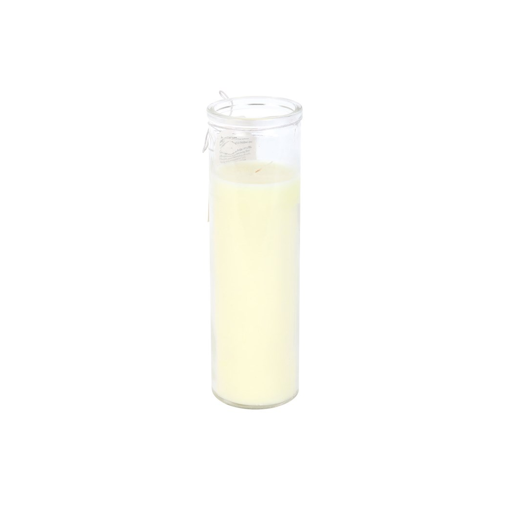 Butterflies Appear Vanilla Tube Candle