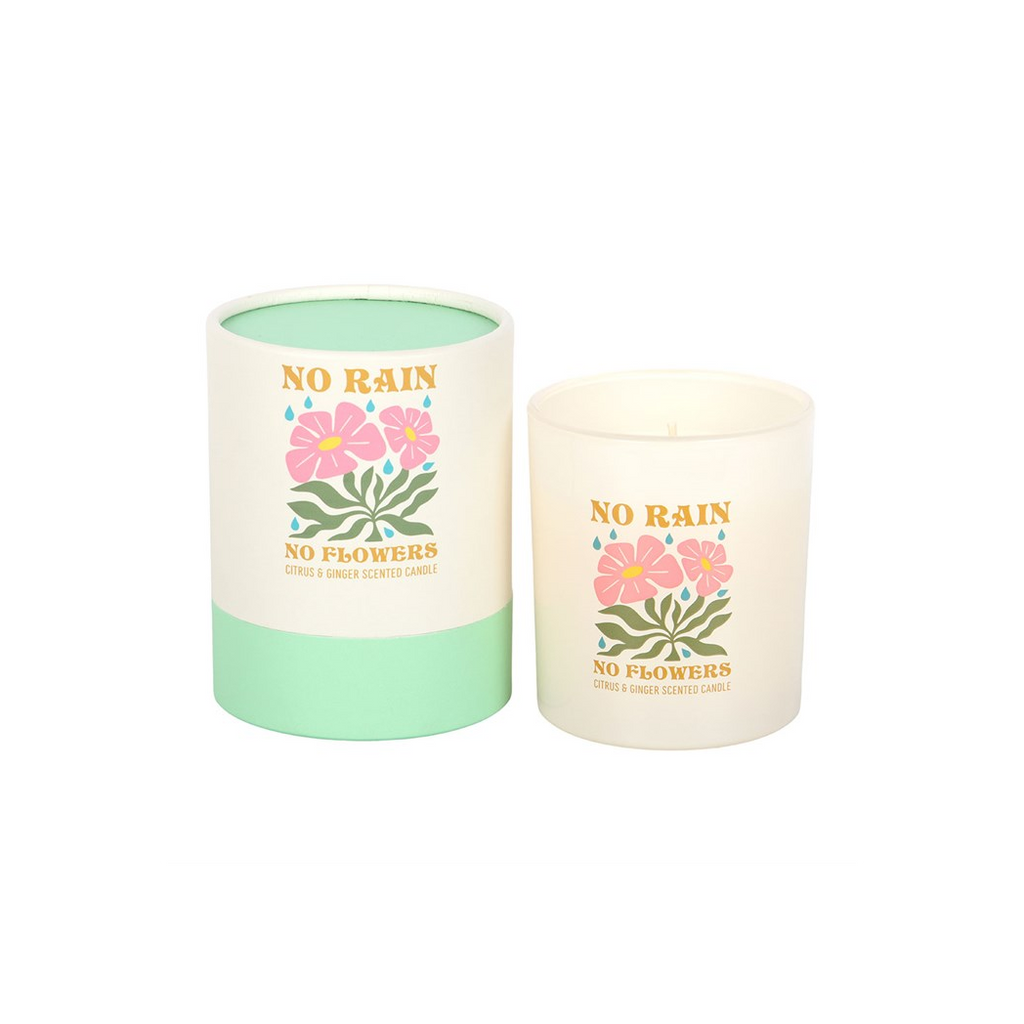 No Rain, No Flowers Citrus & Ginger Candle