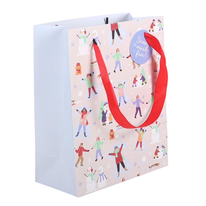 Snow Much Fun Print Gift Bag