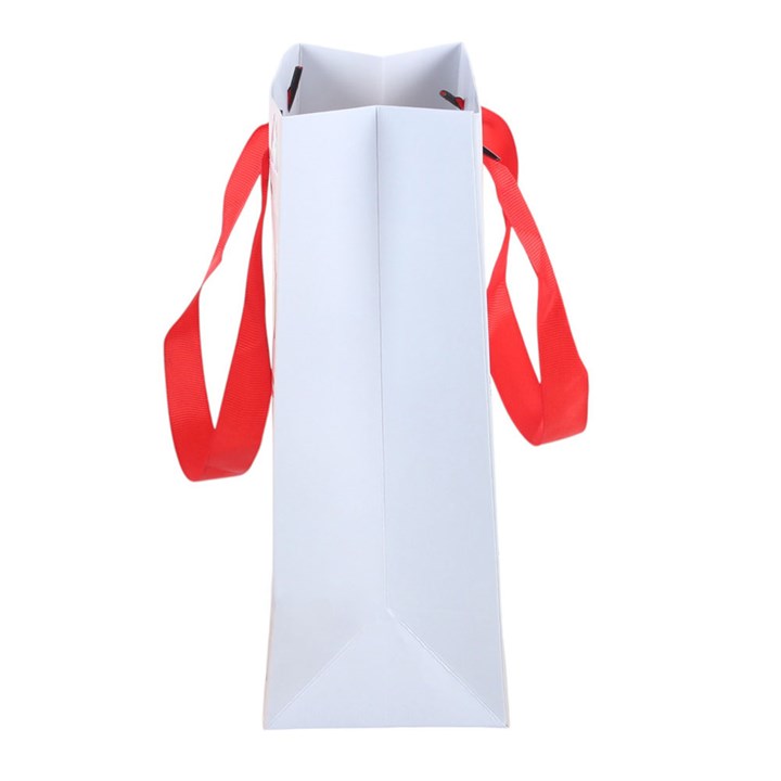 Snow Much Fun Print Gift Bag