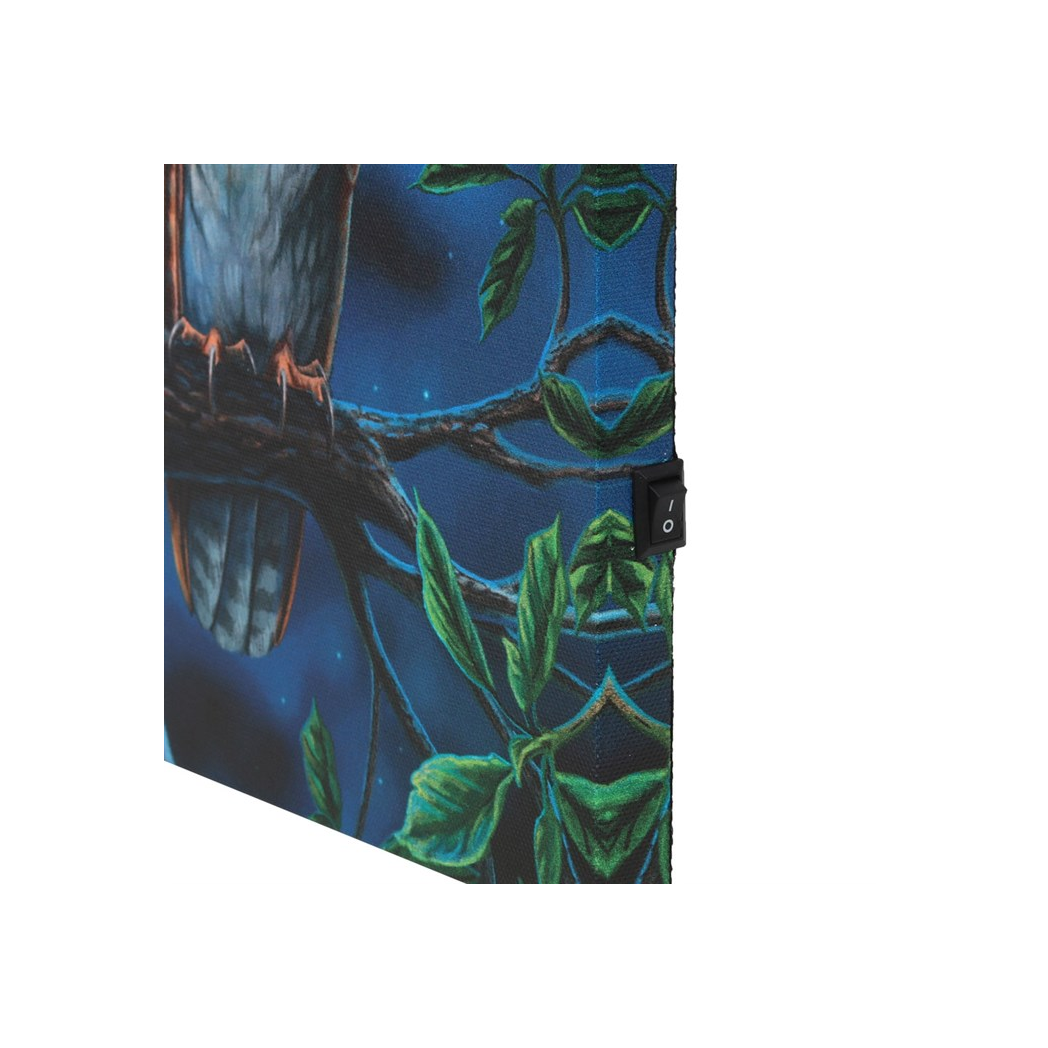 Fairy Tales Light Up Canvas Plaque by Lisa Parker