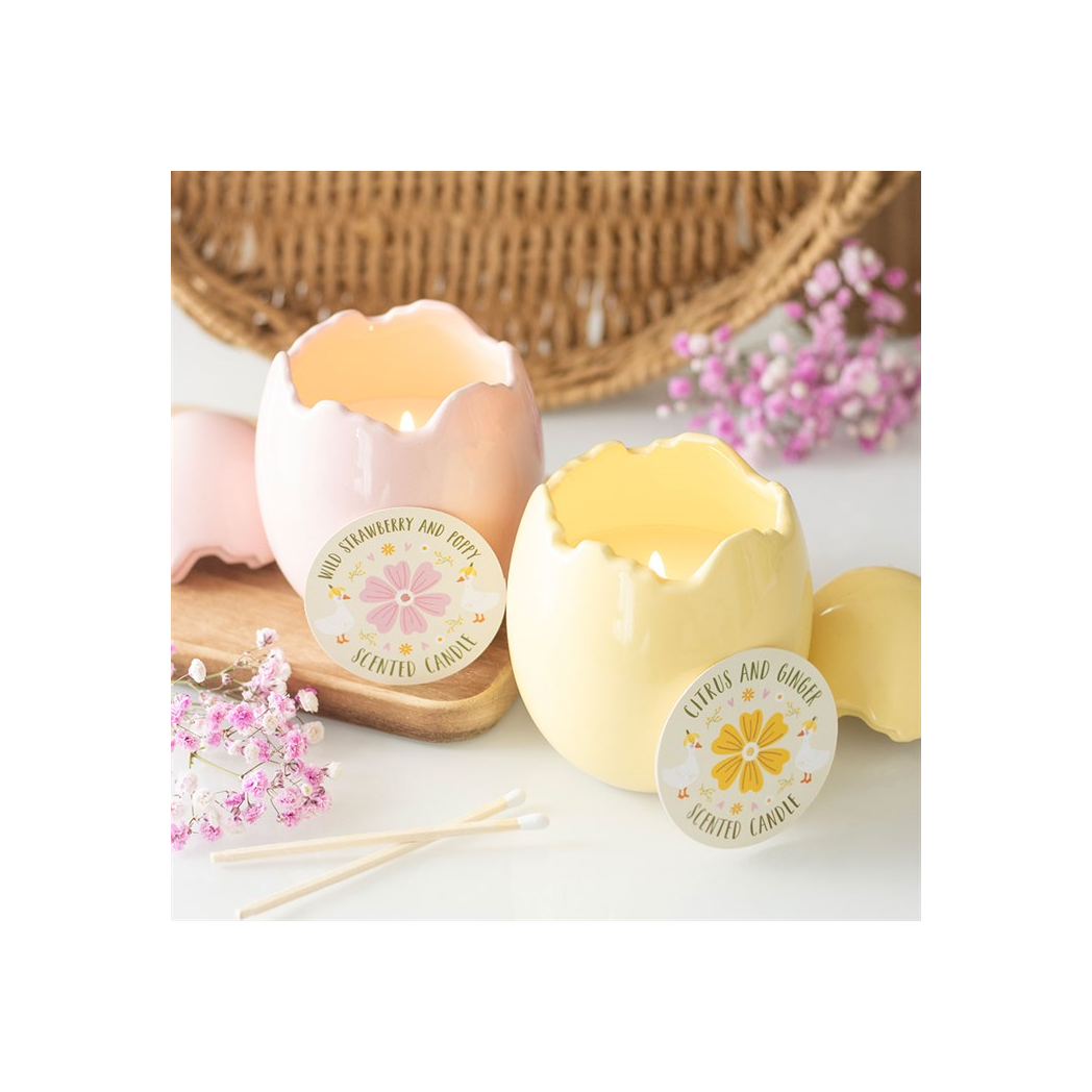 Citrus & Ginger Egg Shaped Candle