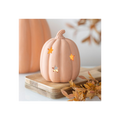 9cm Terracotta Pumpkin Tealight Holder
