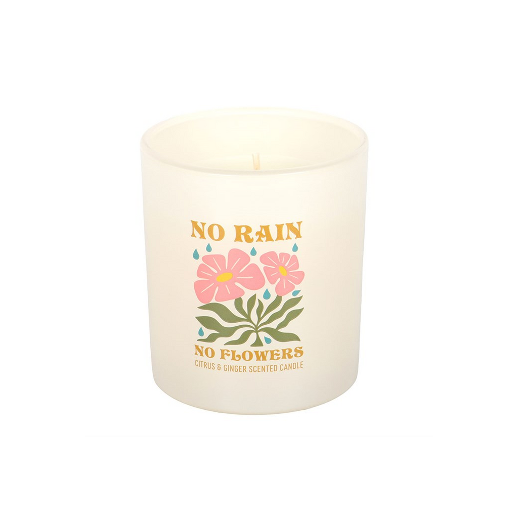 No Rain, No Flowers Citrus & Ginger Candle