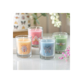 Set of 4 Floral Bug Mandarin & Bergamot Candles
