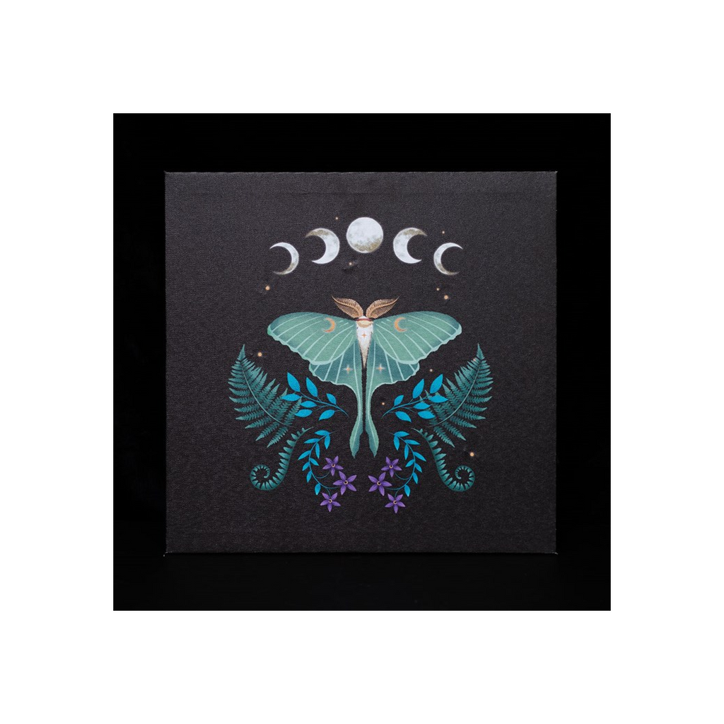Luna Moth Light Up Canvas Plaque
