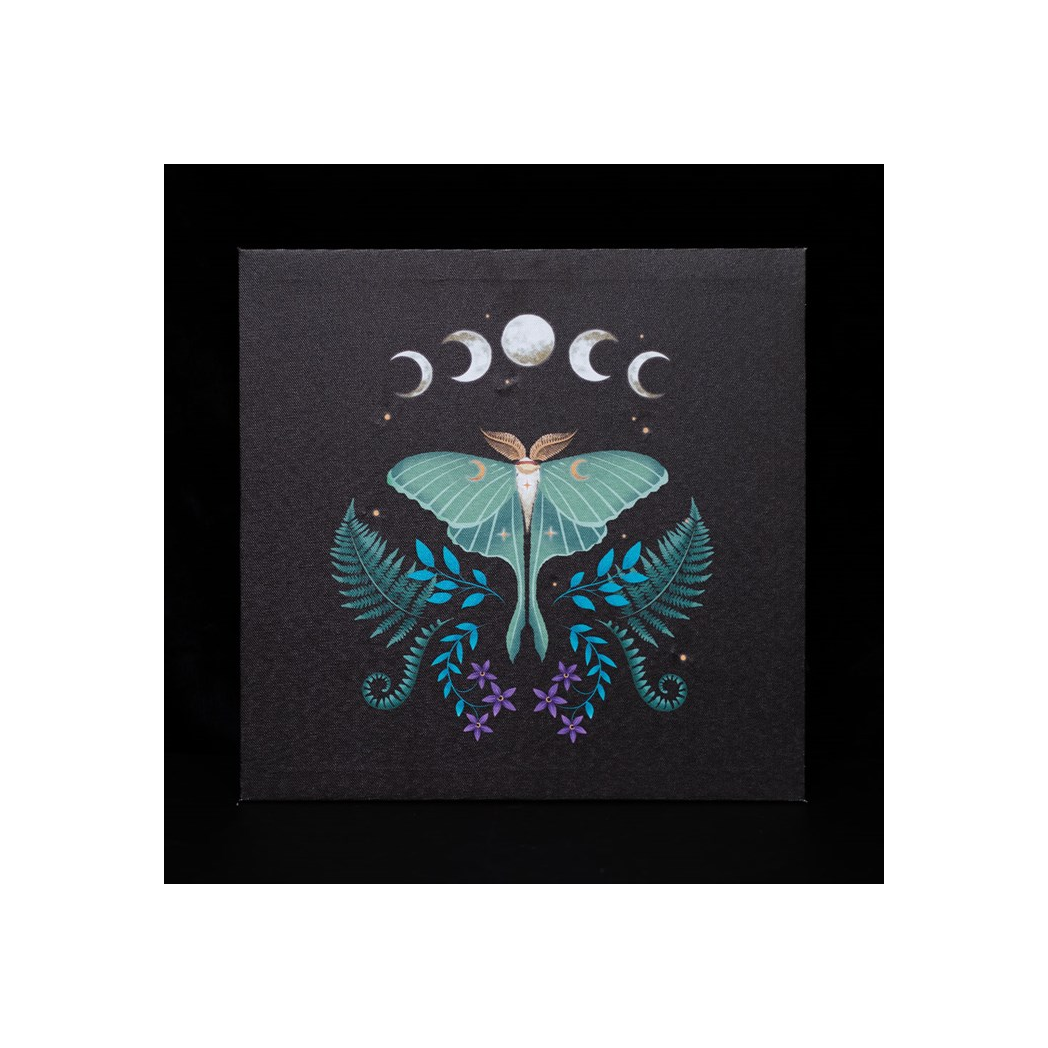 Luna Moth Light Up Canvas Plaque