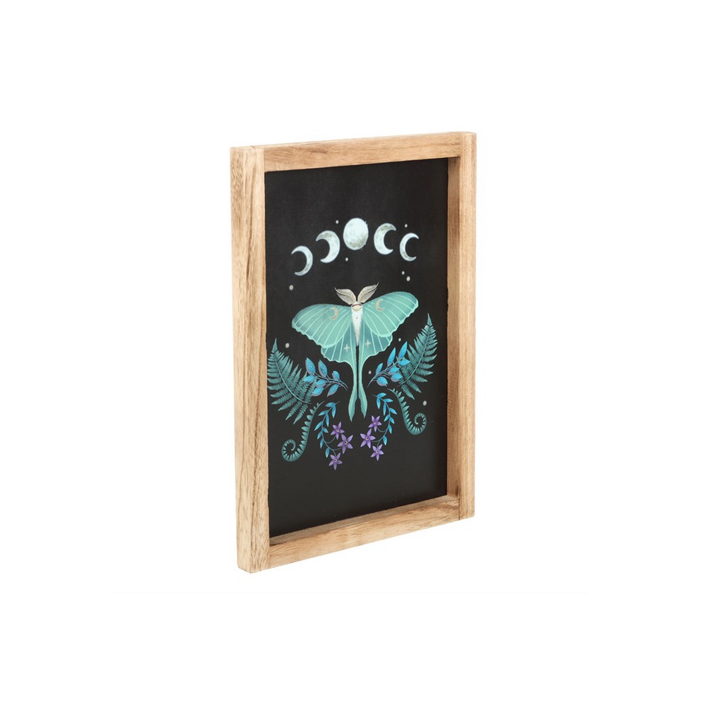 Luna Moth Wooden Framed Wall Art