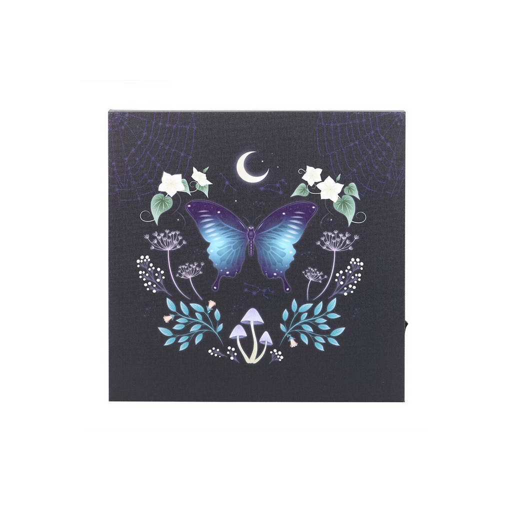 Midnight Moth Light Up Canvas Plaque