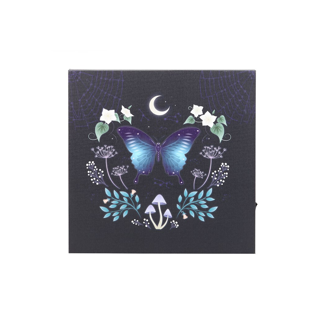 Midnight Moth Light Up Canvas Plaque