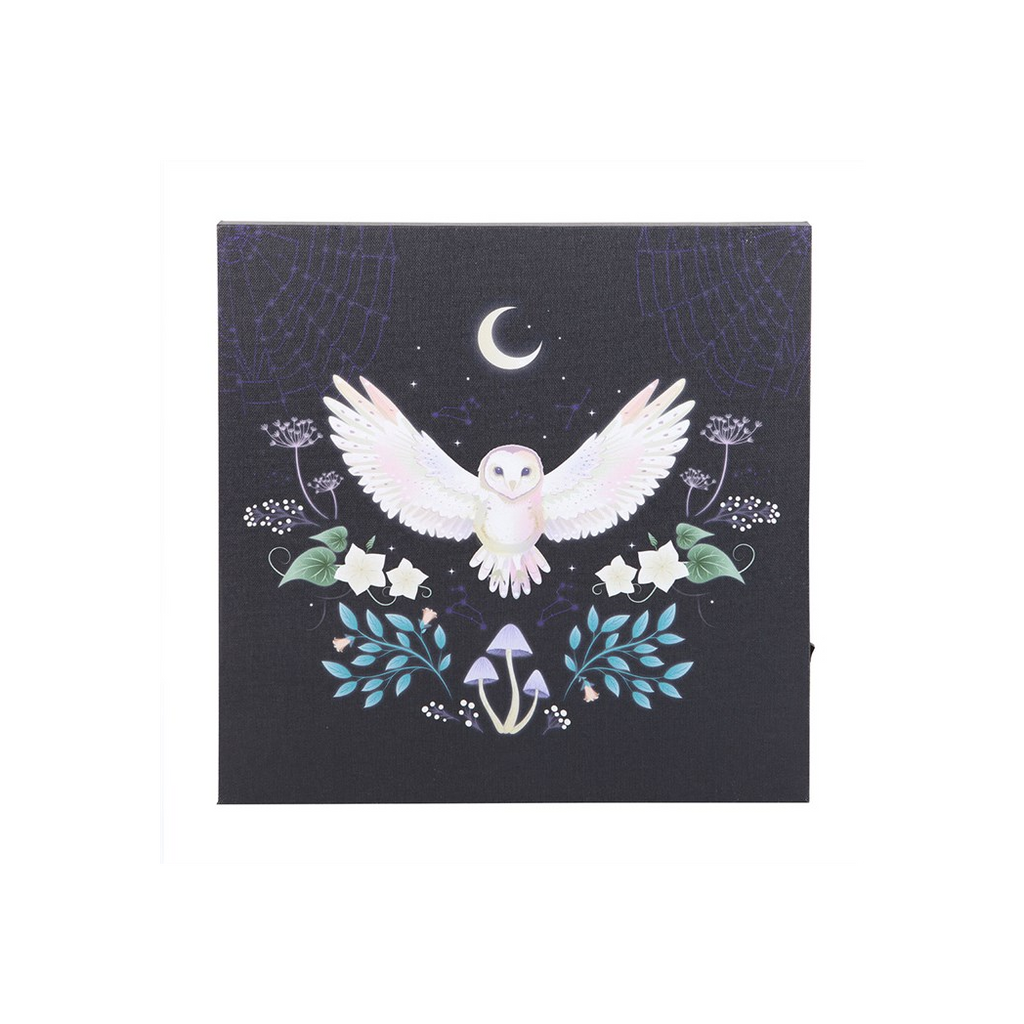 Night Owl Light Up Canvas Plaque