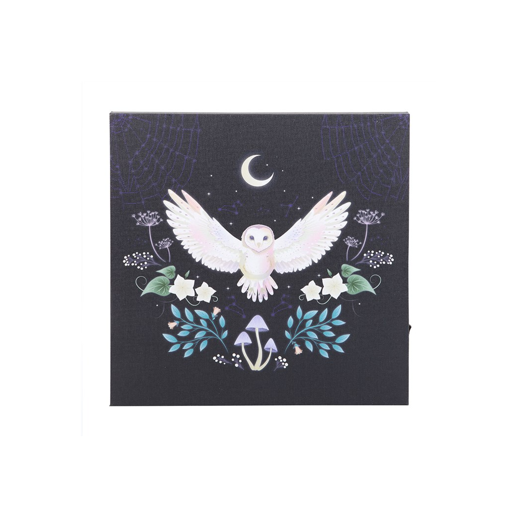Night Owl Light Up Canvas Plaque