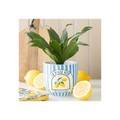 Blue Striped La Dolce Vita Plant Pot