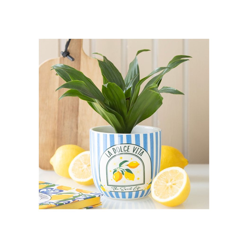 Blue Striped La Dolce Vita Plant Pot