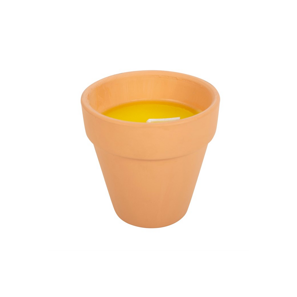 Gardener of the Year Citronella Candle