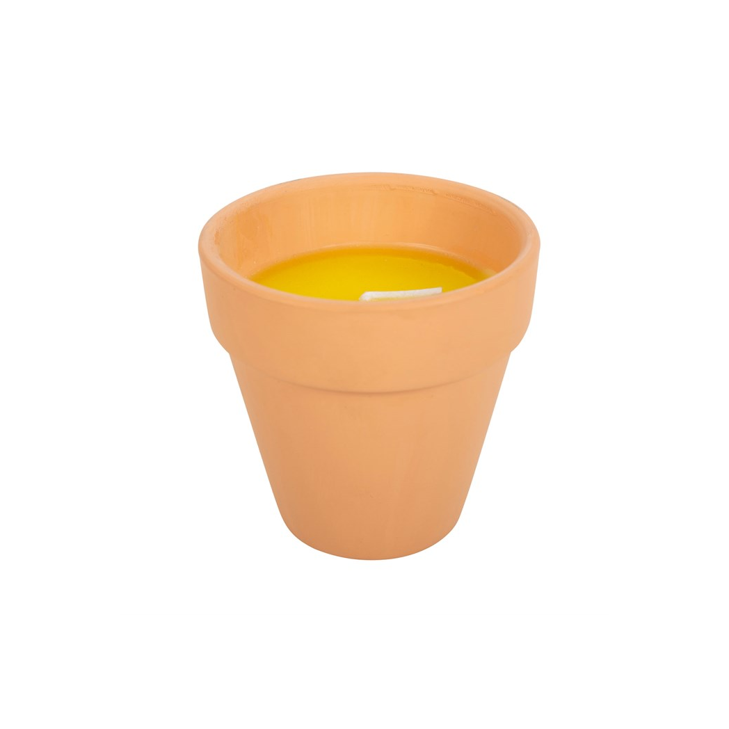 Gardener of the Year Citronella Candle