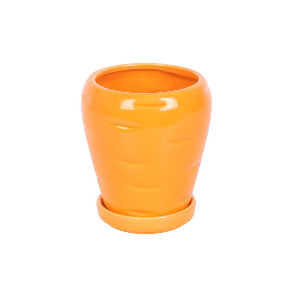 Carrot Shaped Plant Pot with Parsley Seed Balls