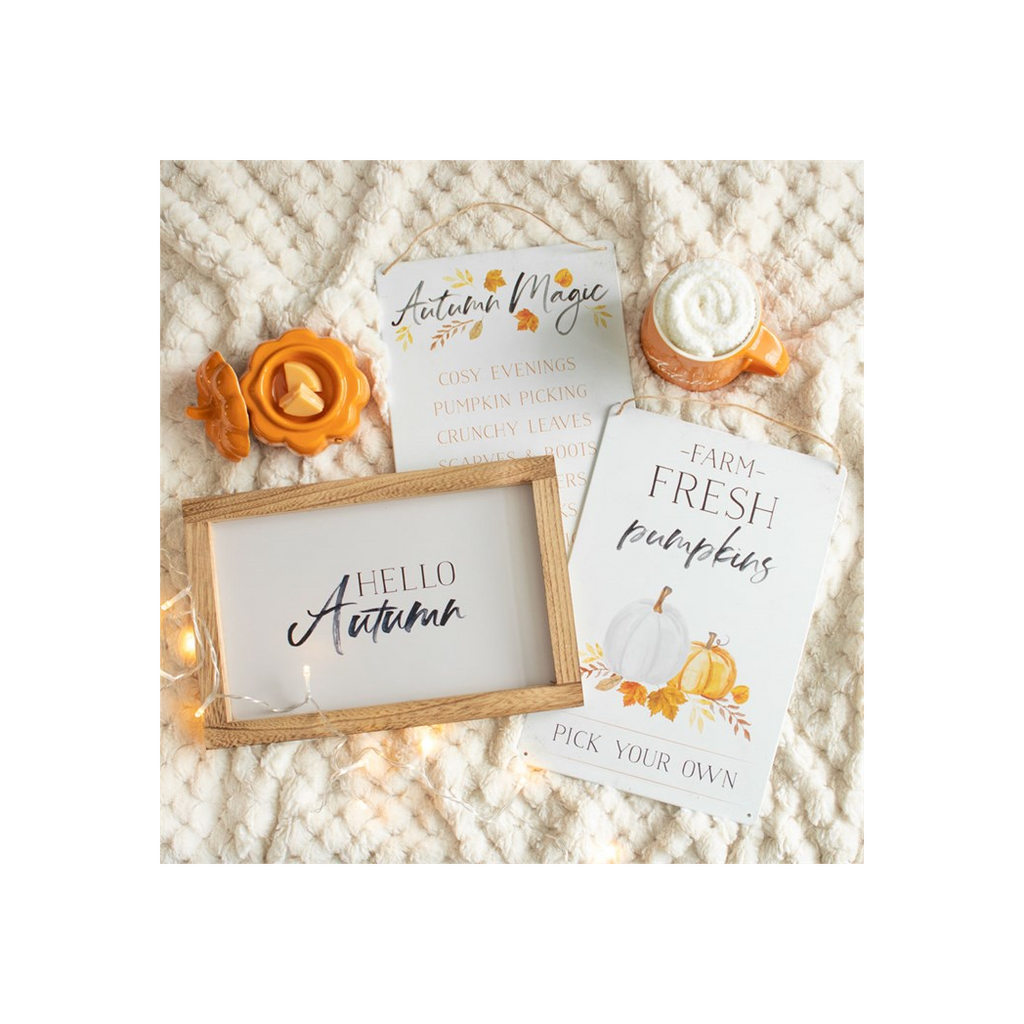 Hello Autumn Wooden Frame Sign
