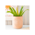 Terracotta Sun Plant Pot