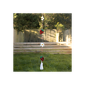 String of Daisy and Strawberry Suncatchers