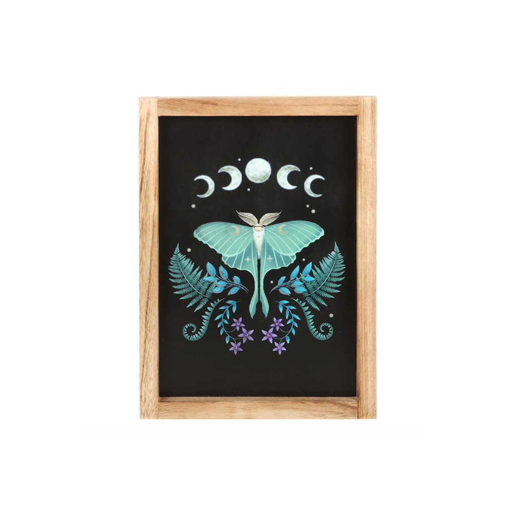 Luna Moth Wooden Framed Wall Art