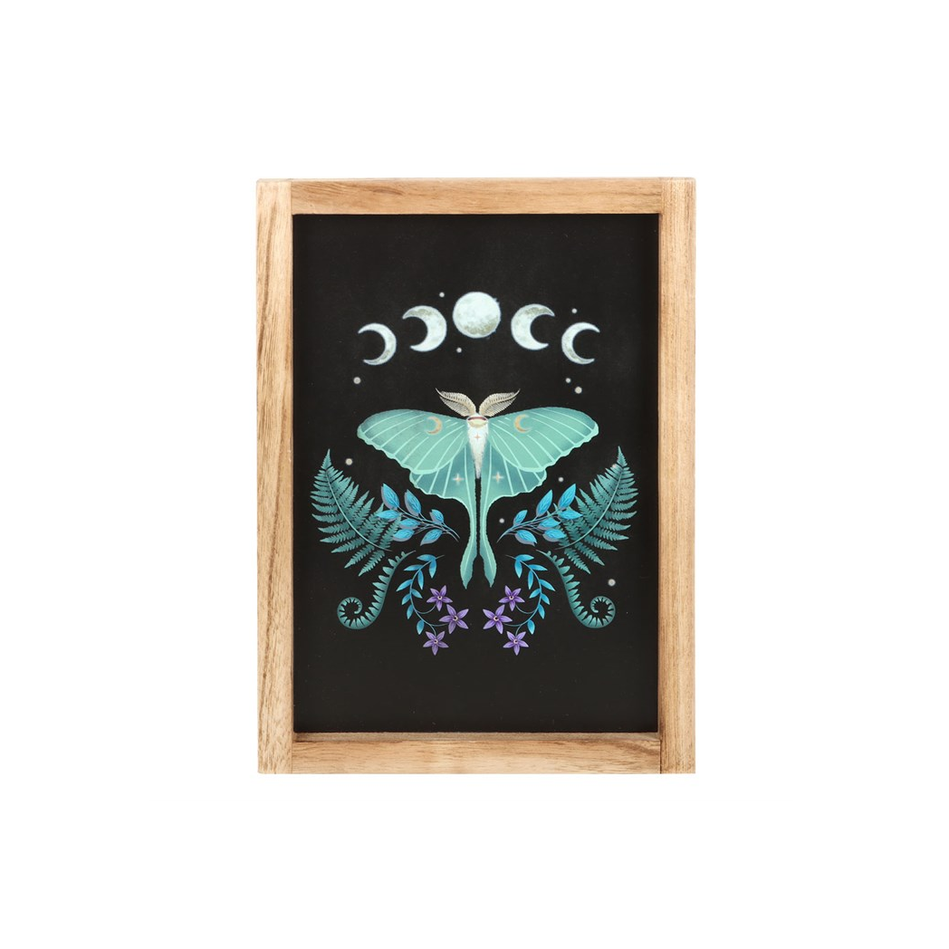 Luna Moth Wooden Framed Wall Art