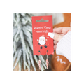 Candy Cane Dangle Earrings