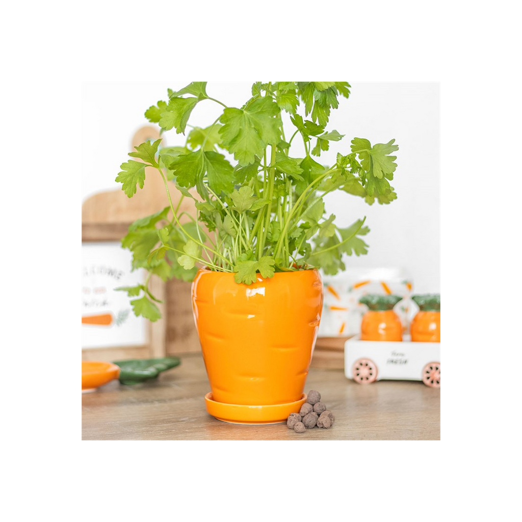 Carrot Shaped Plant Pot with Parsley Seed Balls