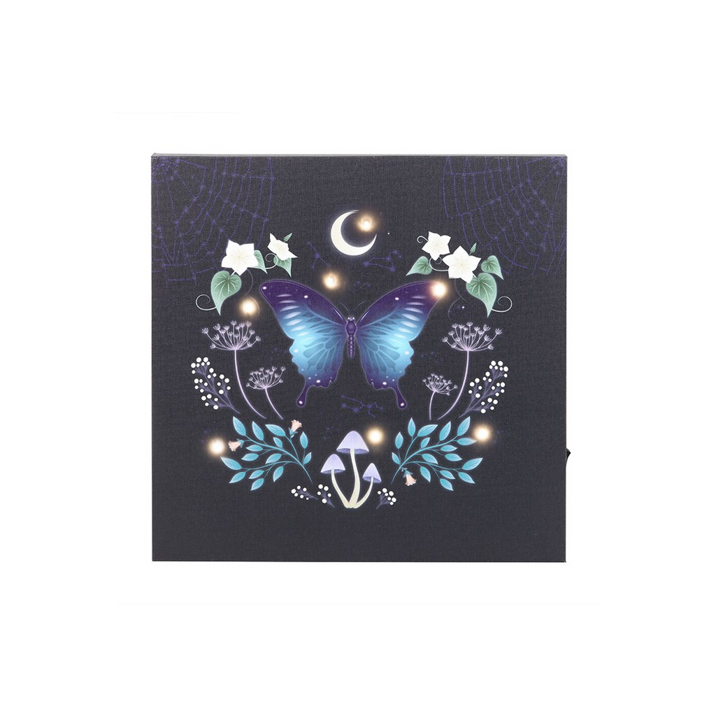 Midnight Moth Light Up Canvas Plaque