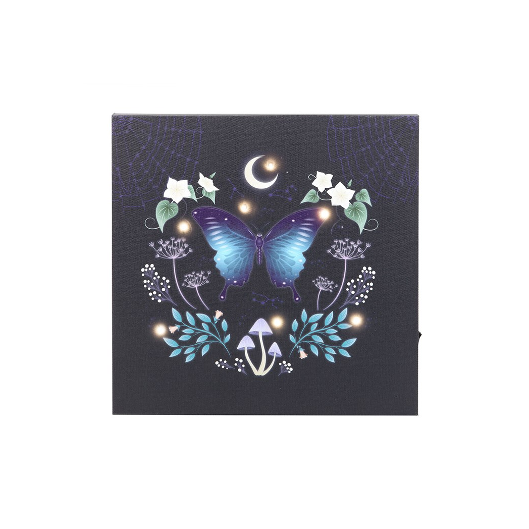 Midnight Moth Light Up Canvas Plaque