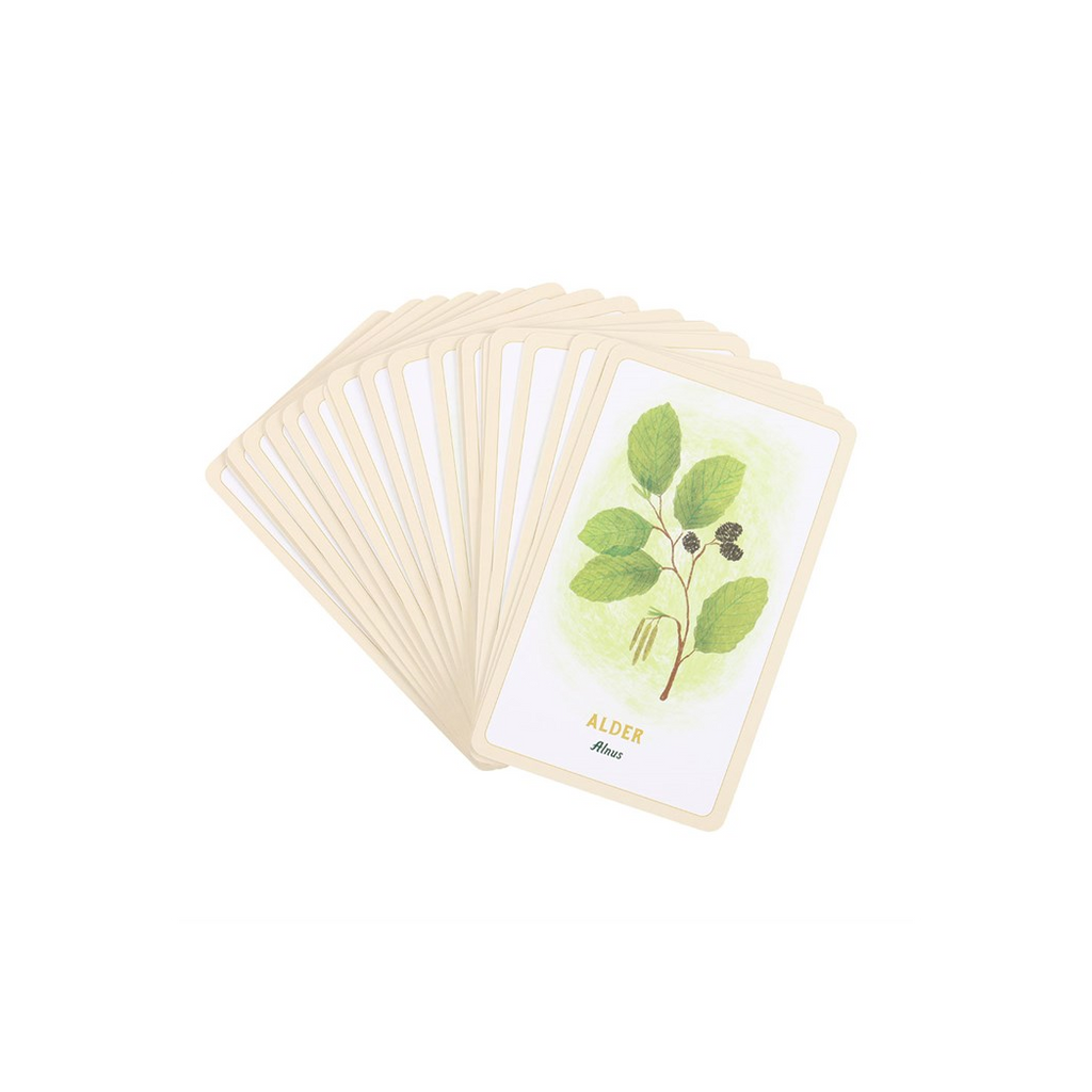 Forest Magic Oracle Cards