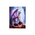 19x25cm Treasure Trove Canvas Plaque by Anne Stokes